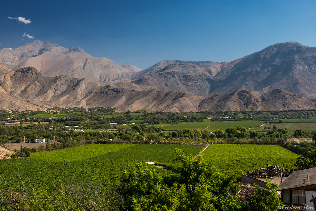 Vicuña Commune, Elqui Province