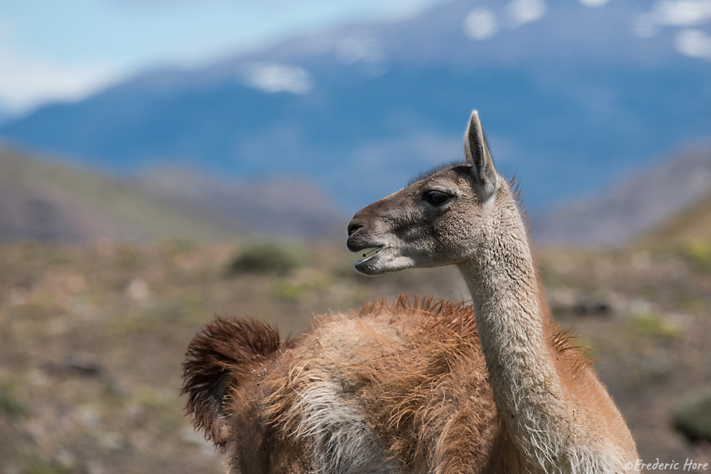 Torre del Paine National Park