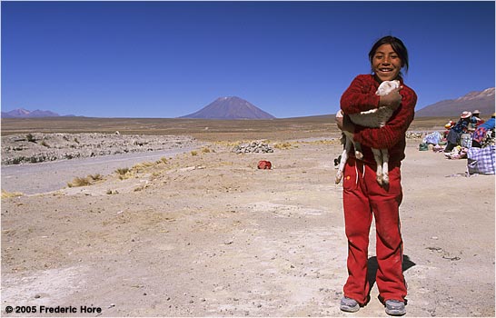 Nancy and her little Lamb Arequipa