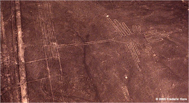 Hummingbird on the Desert Pampa The mysterious Nazca Lines